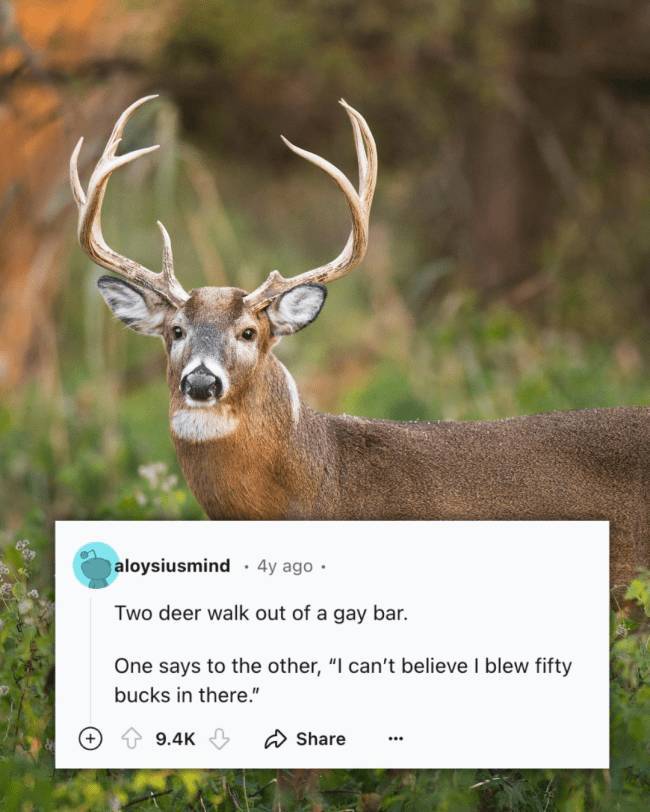 Classic, Dirty, and Snappy Jokes