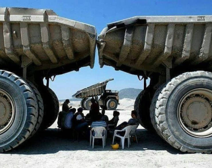 daily picdump 40 pics 7.html - 40 HD Photos | Premium Gallery 2026