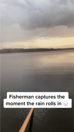 daily gifdump 41 gifs 3.html - 1 HD GIF | Premium Gallery 2026