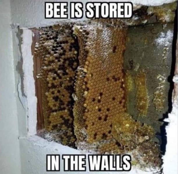 nsfw memes to add some spice to your life 33 pics 3.html - 33 HD Photos | Premium Gallery 2026