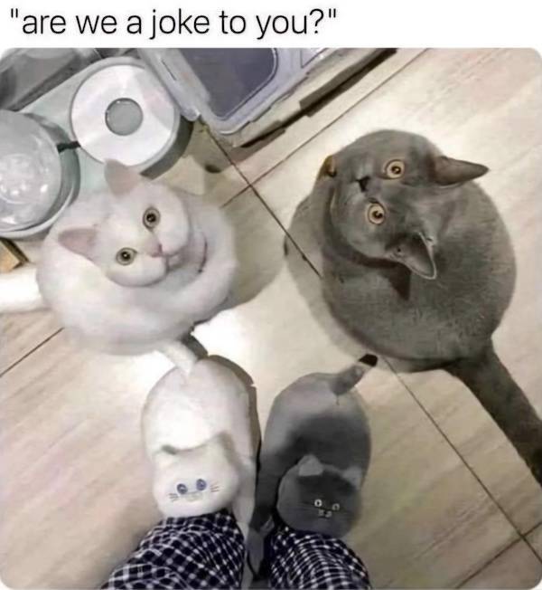 nsfw memes to add some spice to your life 33 pics 3.html - 33 HD Photos | Premium Gallery 2026