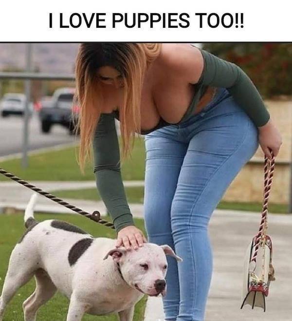 nsfw memes to add some spice to your life 33 pics 3.html - 33 HD Photos | Premium Gallery 2026