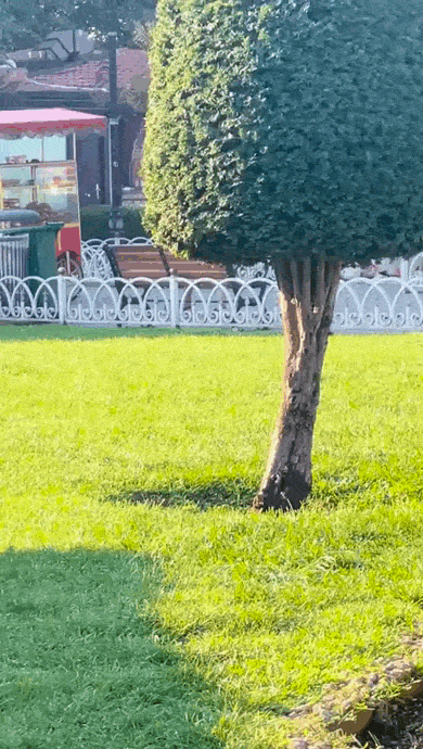 daily gifdump 47 gifs 4.html - 1 HD GIF | Premium Gallery 2026