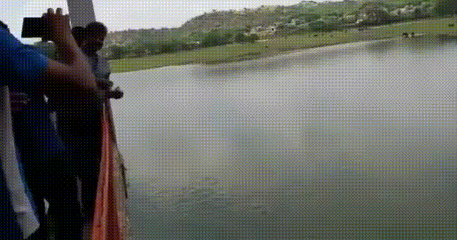 daily gifdump 47 gifs 4.html - 1 HD GIF | Premium Gallery 2026