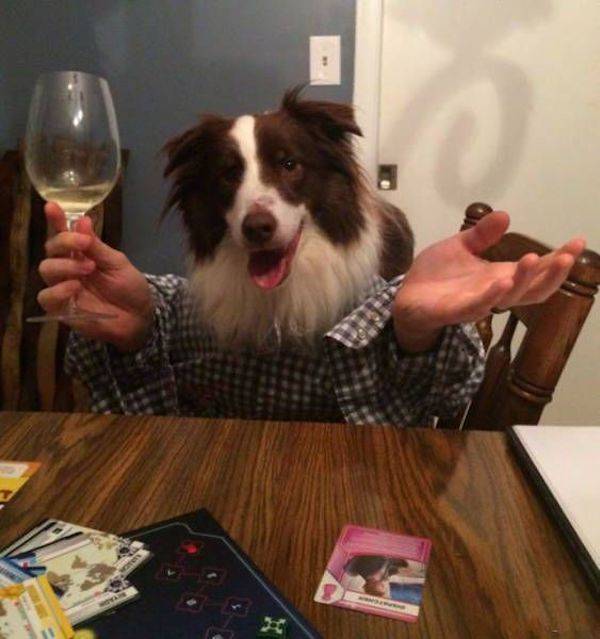 daily picdump 42 pics 10.html - 42 HD Photos | Premium Gallery 2026