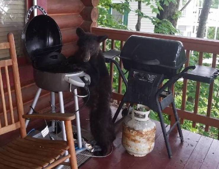 Daily Picdump