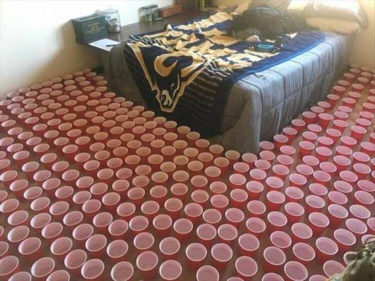 Daily Picdump