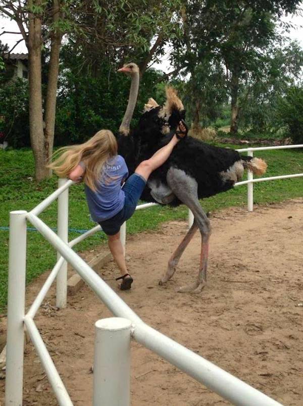 Daily Picdump