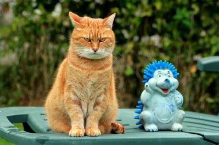 Daily Picdump