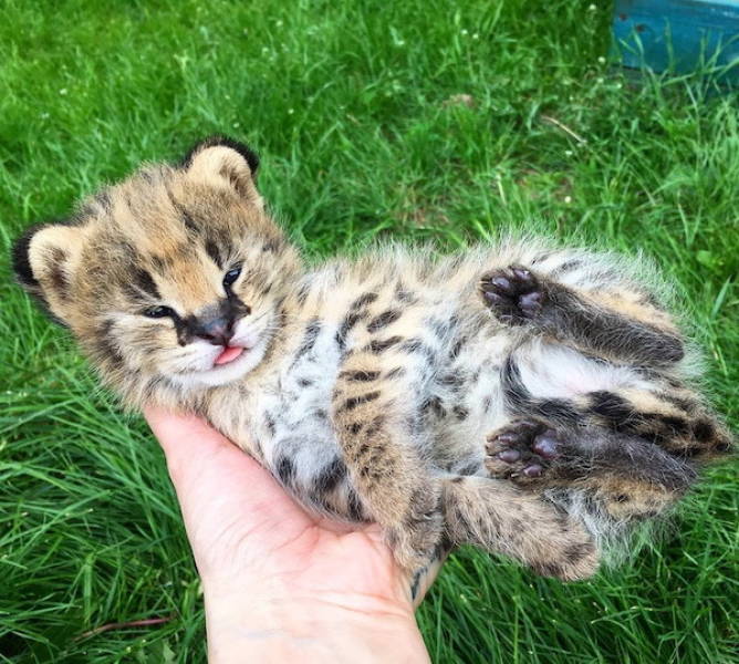 Daily Picdump