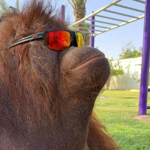 daily picdump 37 pics 1.html - 37 HD Photos | Premium Gallery 2026