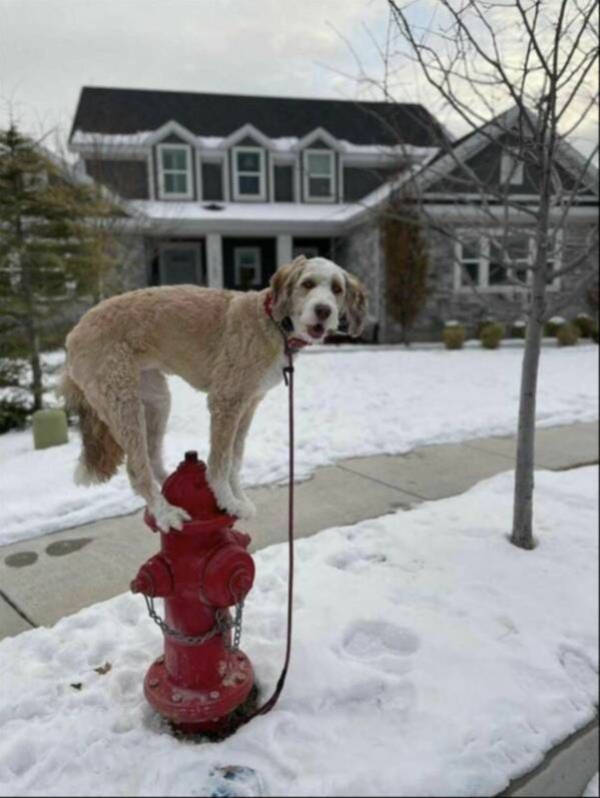 Daily Picdump