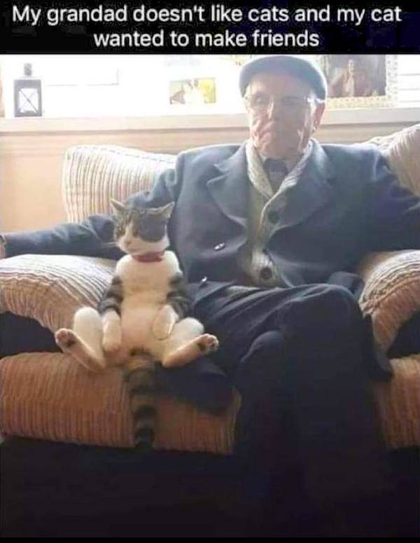 Daily Picdump