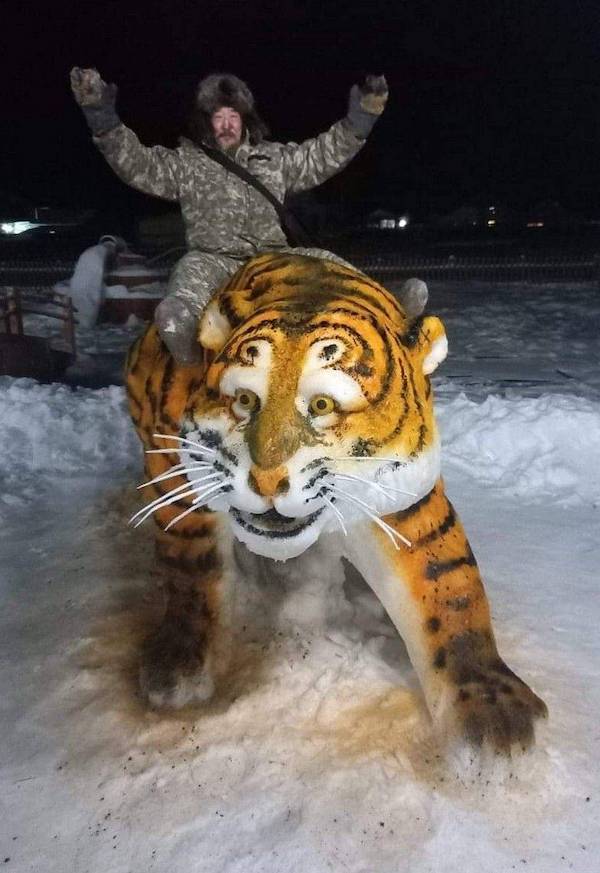 daily picdump 37 pics 1.html - 37 HD Photos | Premium Gallery 2026