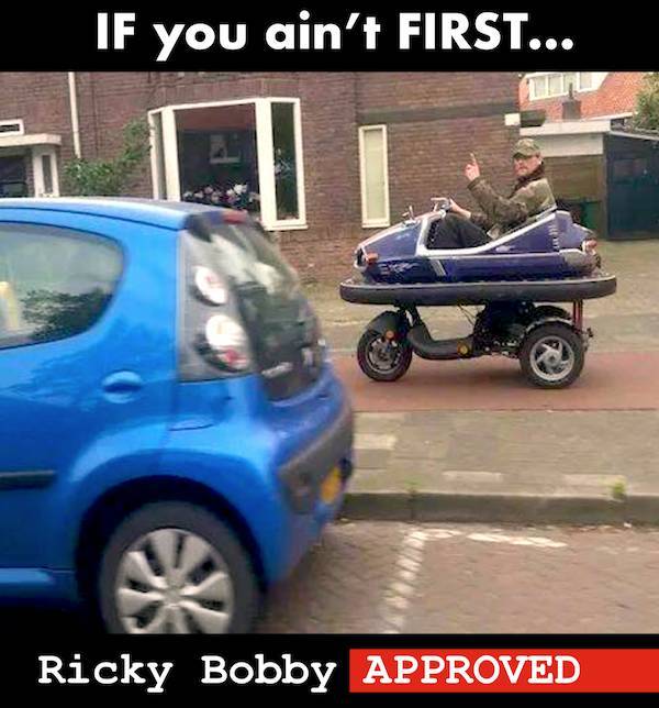 daily picdump 37 pics 1.html - 37 HD Photos | Premium Gallery 2026