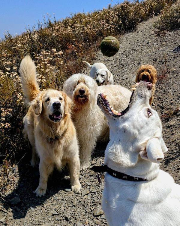 daily picdump 37 pics 1.html - 37 HD Photos | Premium Gallery 2026