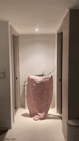 Daily Gifdump