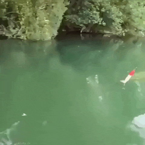daily gifdump 53 gifs 4.html - 1 HD GIF | Premium Gallery 2026