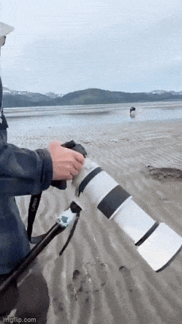 daily gifdump 53 gifs 4.html - 1 HD GIF | Premium Gallery 2026