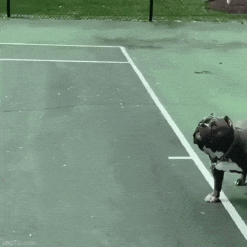 daily gifdump 53 gifs 4.html - 1 HD GIF | Premium Gallery 2026