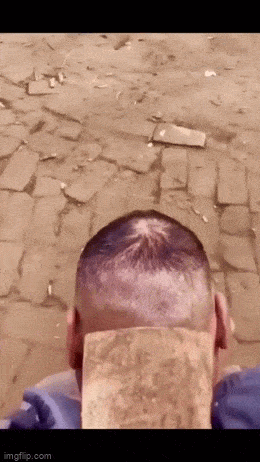 daily gifdump 53 gifs 4.html - 1 HD GIF | Premium Gallery 2026