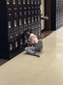 daily gifdump 53 gifs 4.html - 1 HD GIF | Premium Gallery 2026