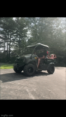 daily gifdump 53 gifs 4.html - 1 HD GIF | Premium Gallery 2026