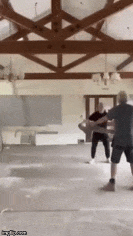 daily gifdump 53 gifs 4.html - 1 HD GIF | Premium Gallery 2026