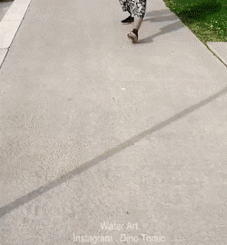 daily gifdump 53 gifs 4.html - 1 HD GIF | Premium Gallery 2026