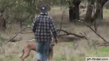 daily gifdump 53 gifs 4.html - 1 HD GIF | Premium Gallery 2026