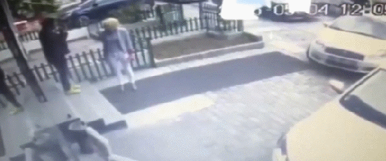 daily gifdump 53 gifs 4.html - 1 HD GIF | Premium Gallery 2026