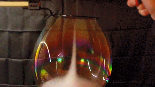 daily gifdump 53 gifs 4.html - 1 HD GIF | Premium Gallery 2026