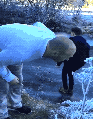 epic fails one gif at a time 24 gifs 11.html - 1 HD GIF | Premium Gallery 2026