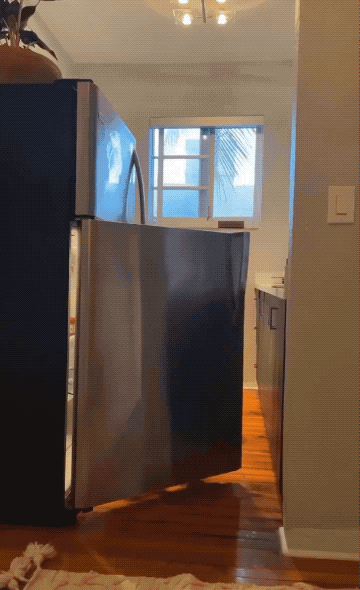 epic fails one gif at a time 24 gifs 11.html - 1 HD GIF | Premium Gallery 2026