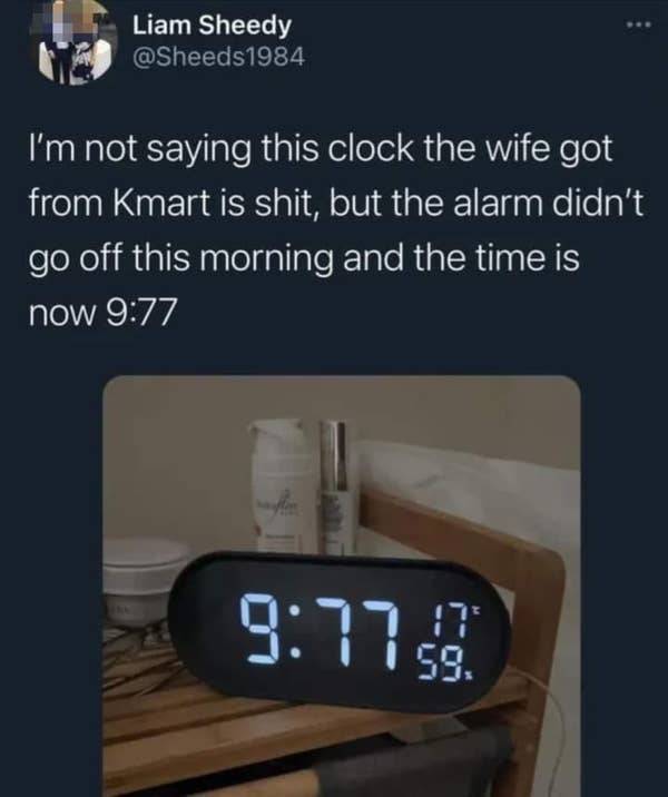 so dumb its actually hilarious 50 pics 1.html - 50 HD Photos | Premium Gallery 2026