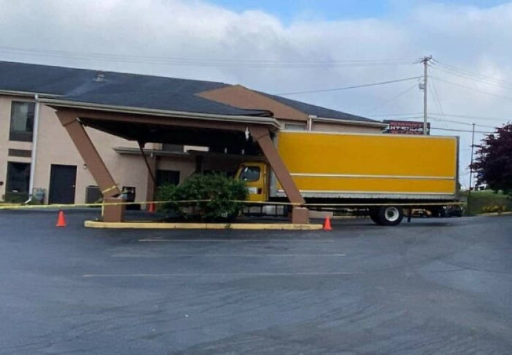 Drivers Who Clearly Skipped the Thinking Part