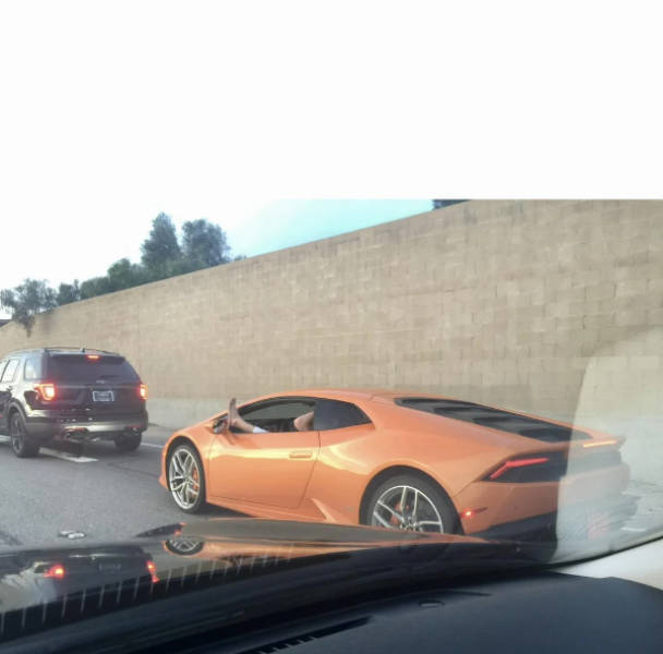 Drivers Who Clearly Skipped the Thinking Part
