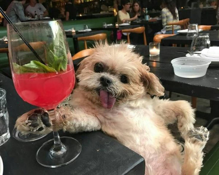 cheers everyone 32 pics 2.html - 32 HD Photos | Premium Gallery 2026