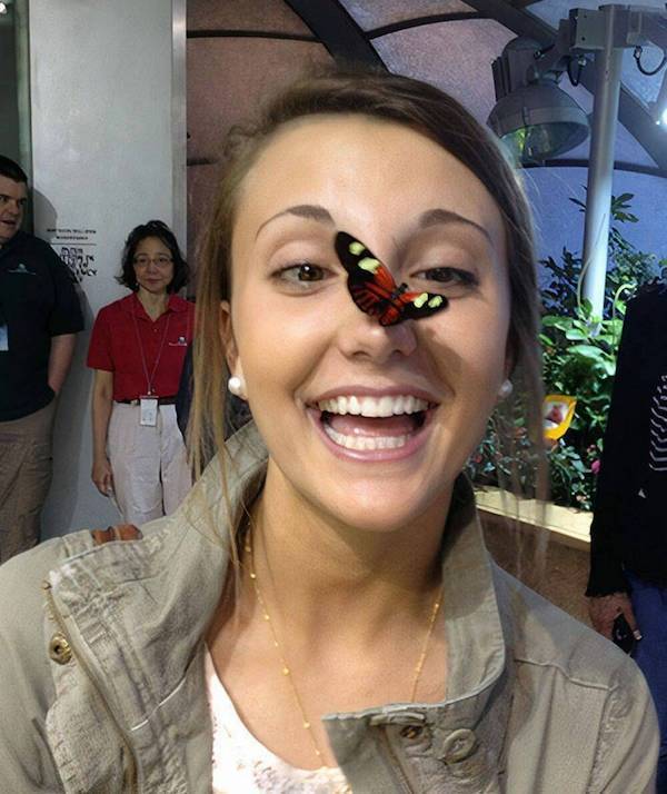 Daily Picdump
