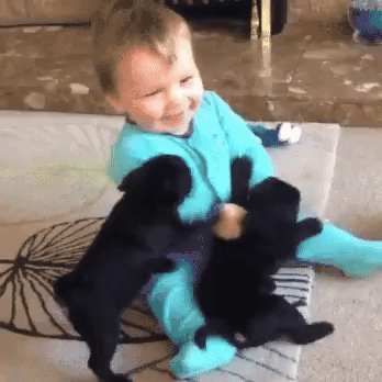 Pure Positivity in GIF Form