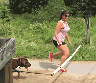 flaming fiascos collection of hot fails 29 gifs 5.html - 1 HD GIF | Premium Gallery 2026