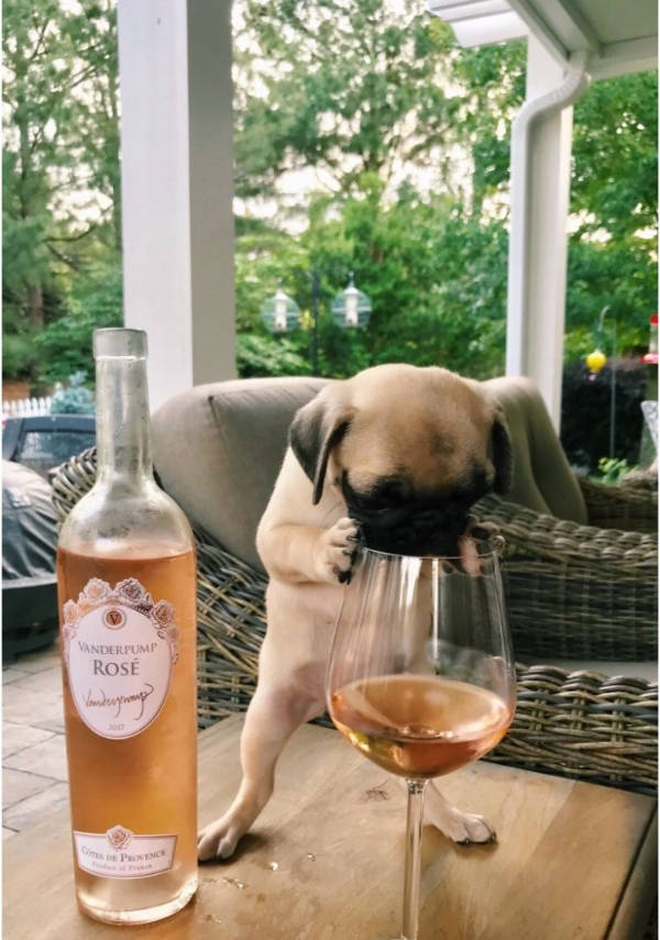 drinking never ends 34 pics 2.html - 34 HD Photos | Premium Gallery 2026
