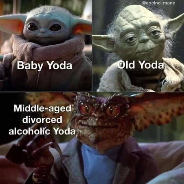 prescribed daily dose of dank memes 40 pics 9.html - 40 HD Photos | Premium Gallery 2026