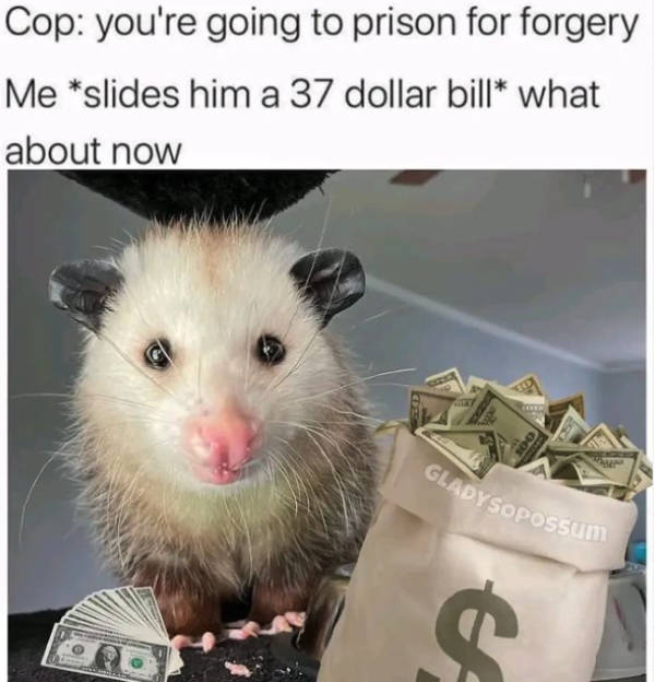 prescribed daily dose of dank memes 40 pics 9.html - 40 HD Photos | Premium Gallery 2026