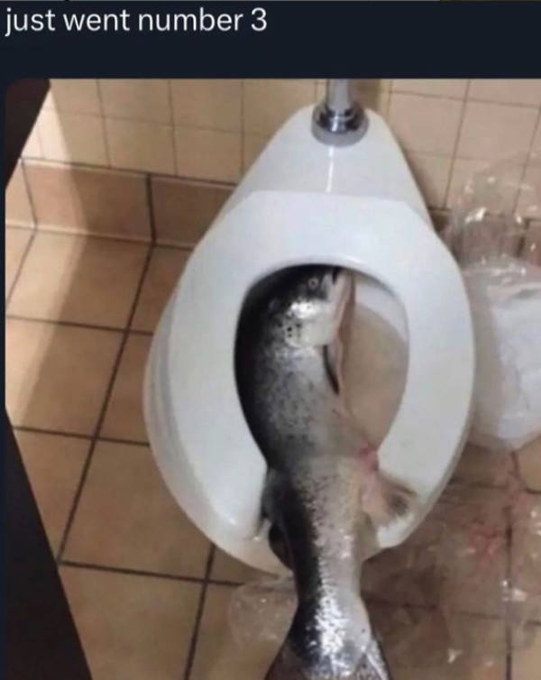 prescribed daily dose of dank memes 40 pics 9.html - 40 HD Photos | Premium Gallery 2026