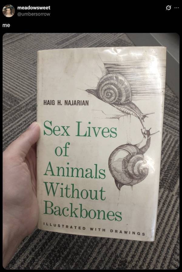 Dirty Minds Are Welcome!