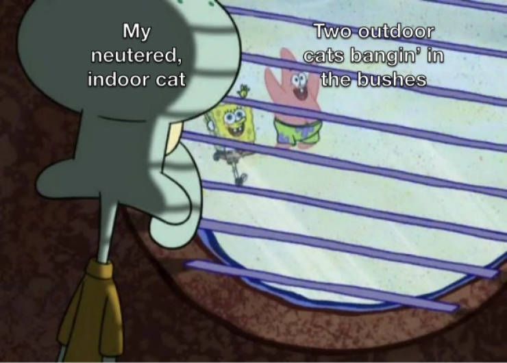 Certified Dank Memes You Need Right Now