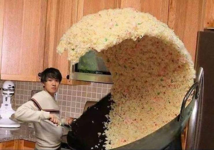 Daily Picdump