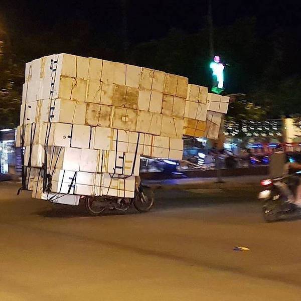 daily picdump 43 pics 1.html - 43 HD Photos | Premium Gallery 2026