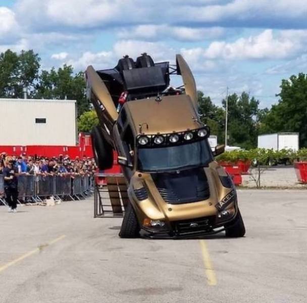 daily picdump 43 pics 1.html - 43 HD Photos | Premium Gallery 2026